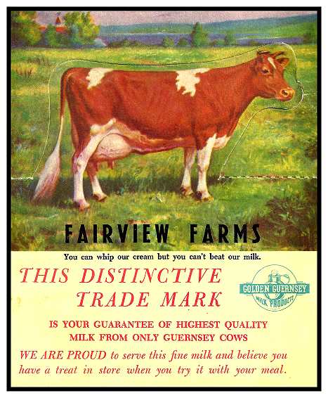 fairview-farms-golden-guernseya