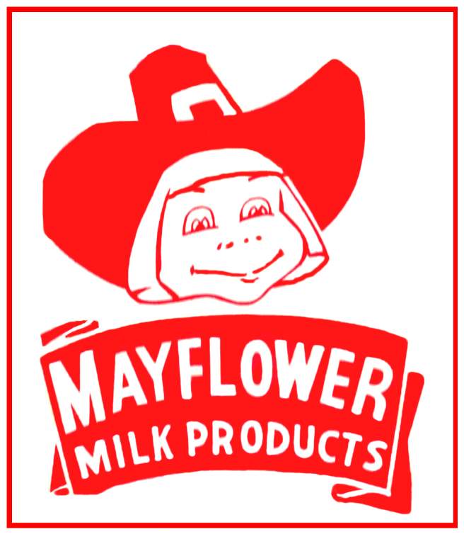 mayflower-pilgrim-boya