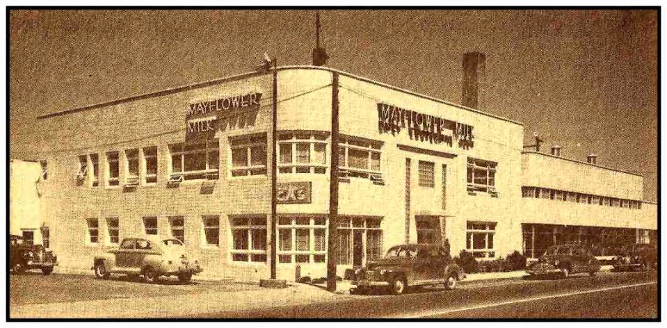 quot;taking extacy videoquot; extacy pill identifier. quot;taking extacy videoquot;